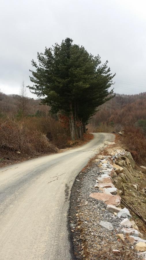 Pyeongchang Iris Pension Bagian luar foto
