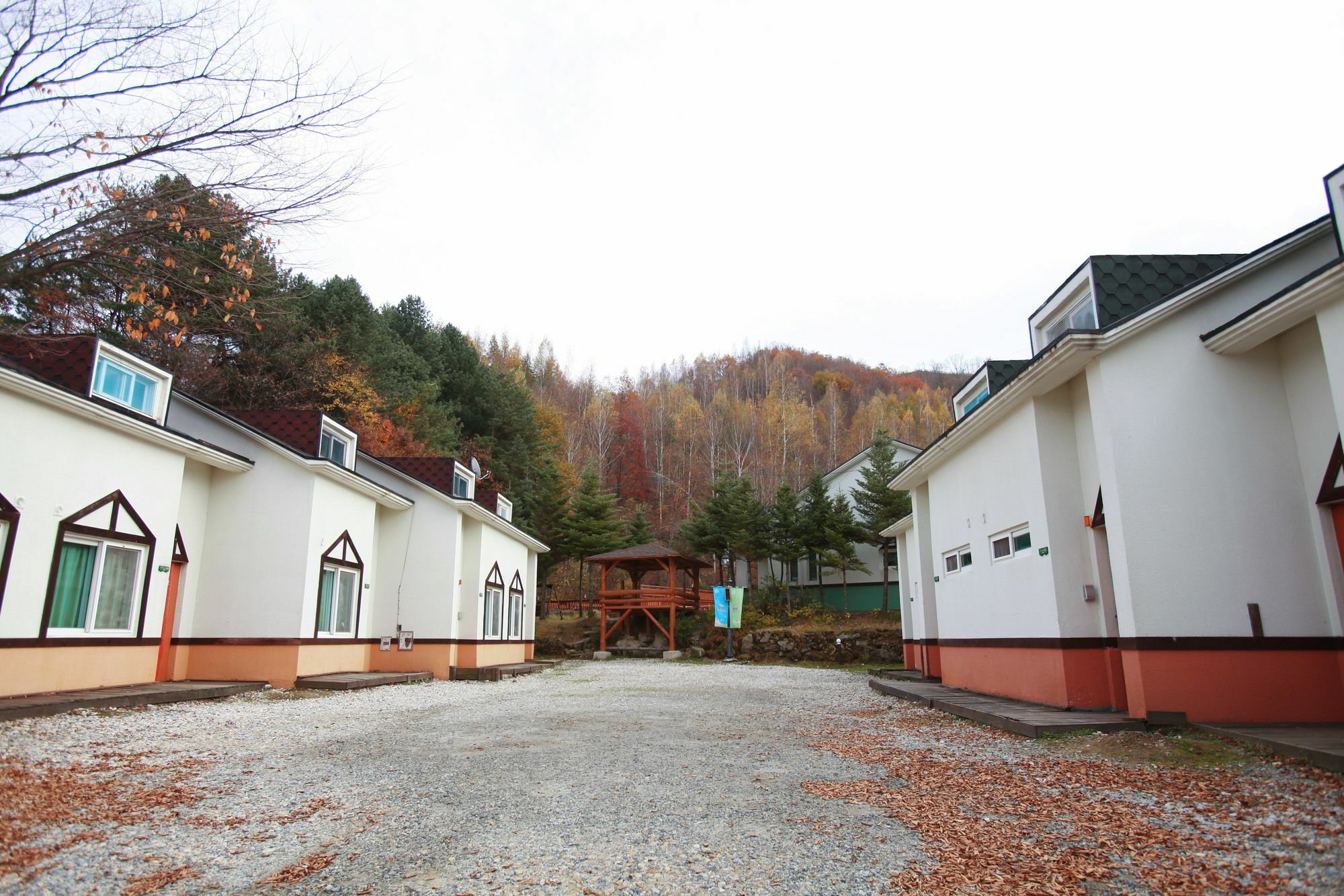Pyeongchang Iris Pension Bagian luar foto
